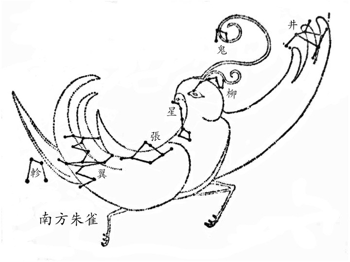 井、鬼、柳、星、张、翼、轸（南方朱雀），图取自高鲁的《星象统笺》。