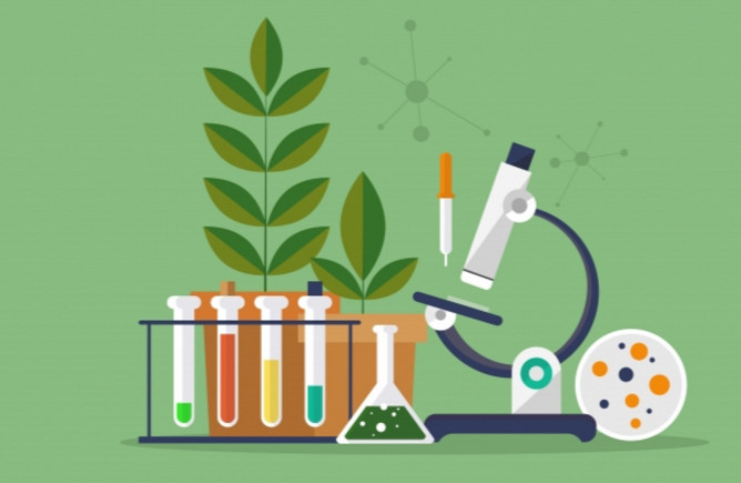 而且如果你在学生物的同时学习化学,然后再从数学或物理两门中选一门