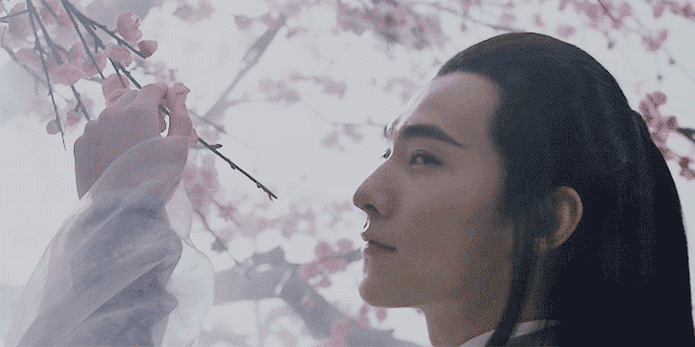 赵又廷版的夜华,原著党是抗拒的什么是颜狗的狂欢,《三生三世十里桃花