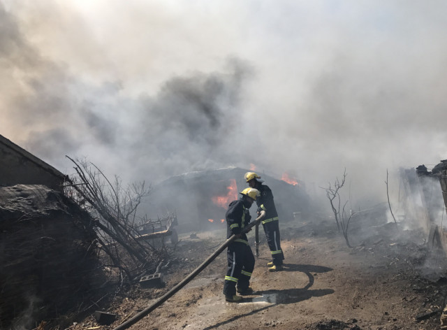 养鸡大棚突发大火,龙口消防部门火速救援阻止火情