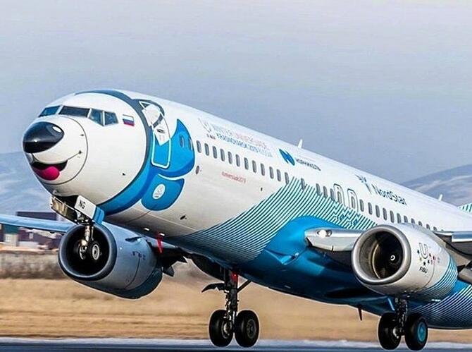 冲上云端的狗——哈士奇