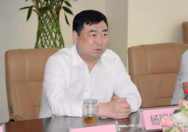 龙记集团董事长杨明生