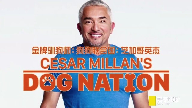 他的方法是那样的简单易行,他的卫冕是那样的轻松,↓"狗班长"西泽