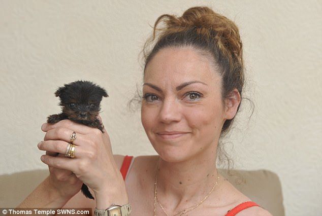 封面新闻编辑:siegismund67676767