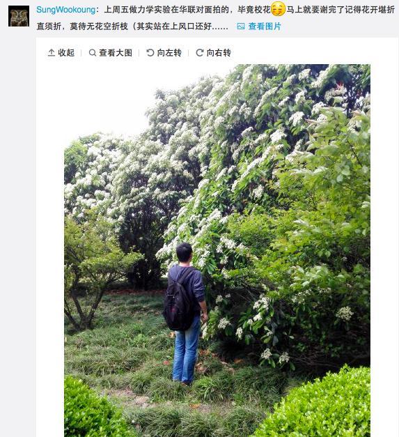 羞羞味道的石楠花已攻陷各大高校 有点不可描述