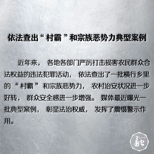 依法查出"村霸"和宗族恶势力典型案例