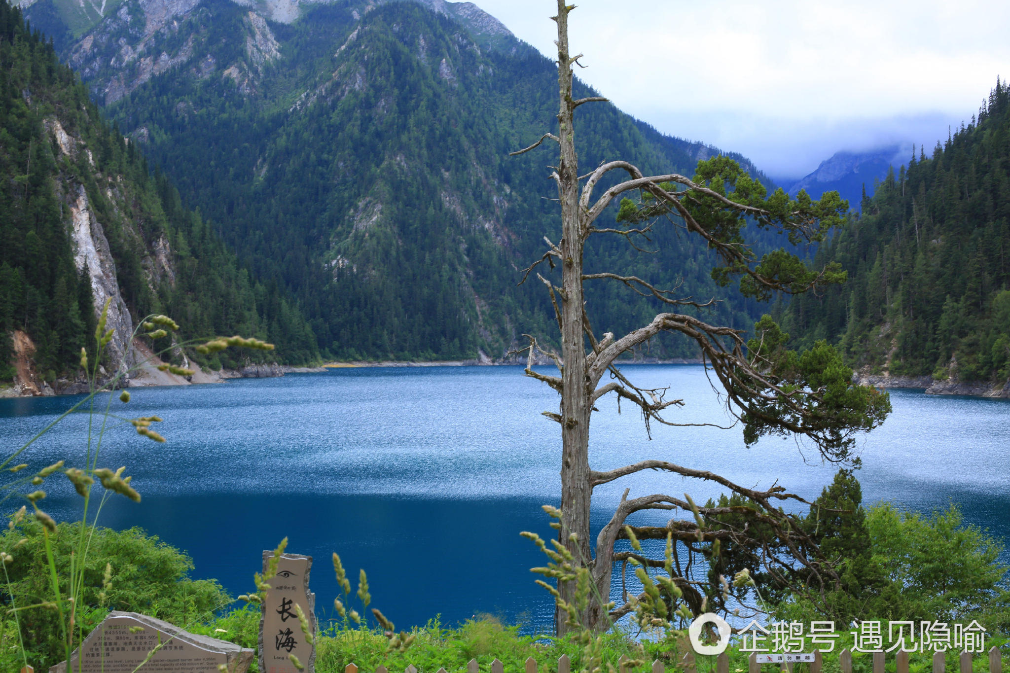震后九寨沟景区迎来强降雨,当地人实拍海子瀑布美极了