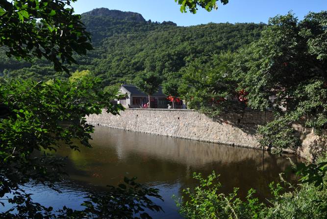 【卡盟金服骗局】卡盟金服怎么样?