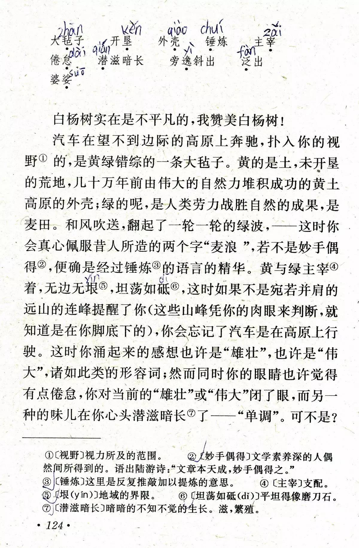 白杨礼赞茅盾丨那些年我们一起读过的课文