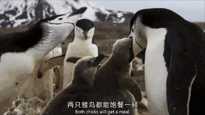 400_225gif 动态图 动图