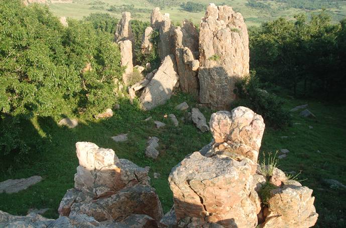 【卡盟金服骗局】卡盟金服怎么样?