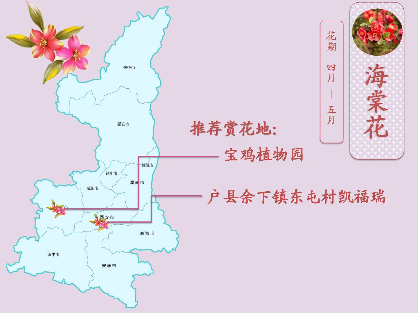 路——余下转盘——向东1公里——东屯村西(凯福瑞海棠园)宝鸡植物园