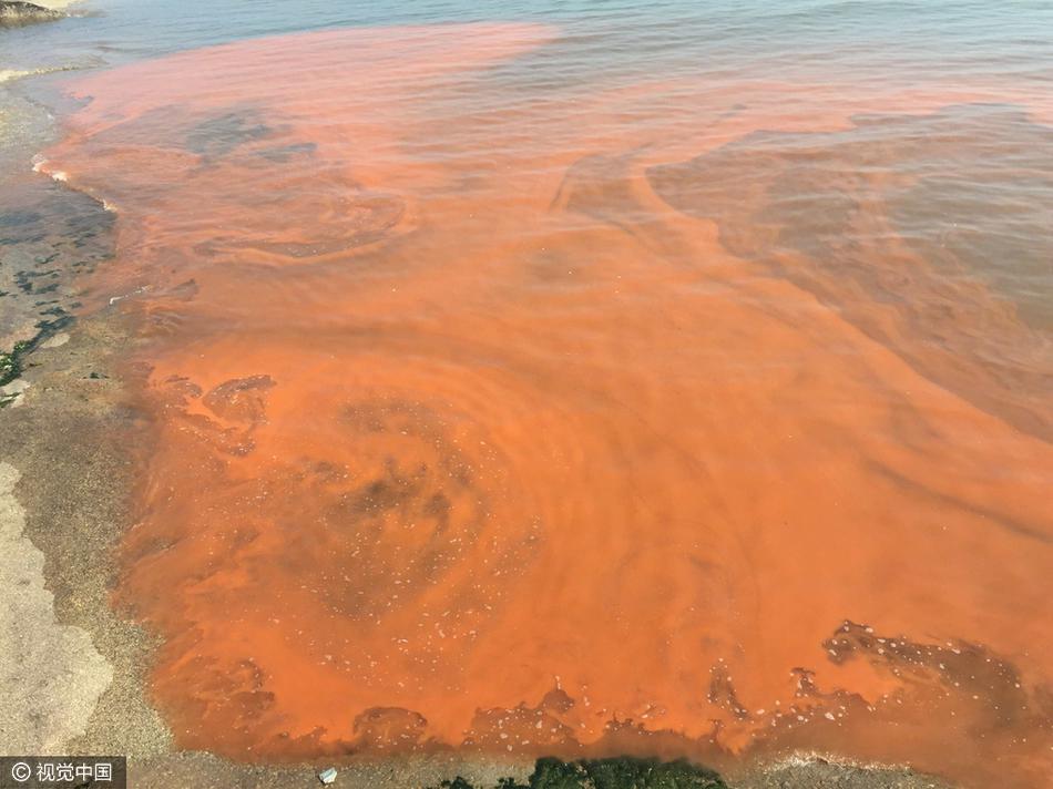 山东日照海边现赤潮现象