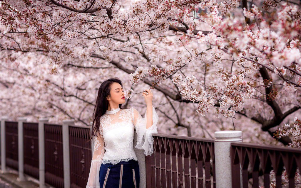 冉莹颖晒樱花写真 白色蕾丝衫仙气十足