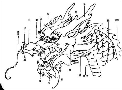 神了！龙的画法以及身体各部分结构分析，绝对干货！