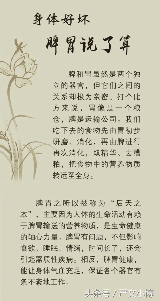 听听中医和你聊聊中医调理脾胃的那点事儿