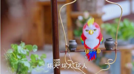 一个秘密《楚乔传》楚乔双目涅槃重生,鹦鹉的小秘密这下暴露了苍梧鸟