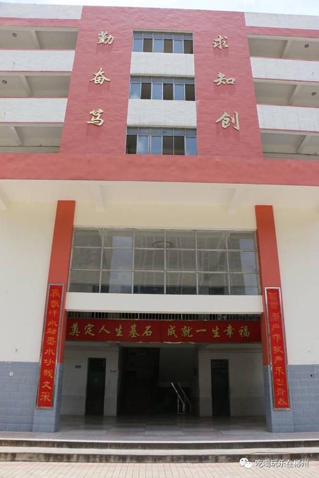 再见了郴州五中致我们逝去的高中部