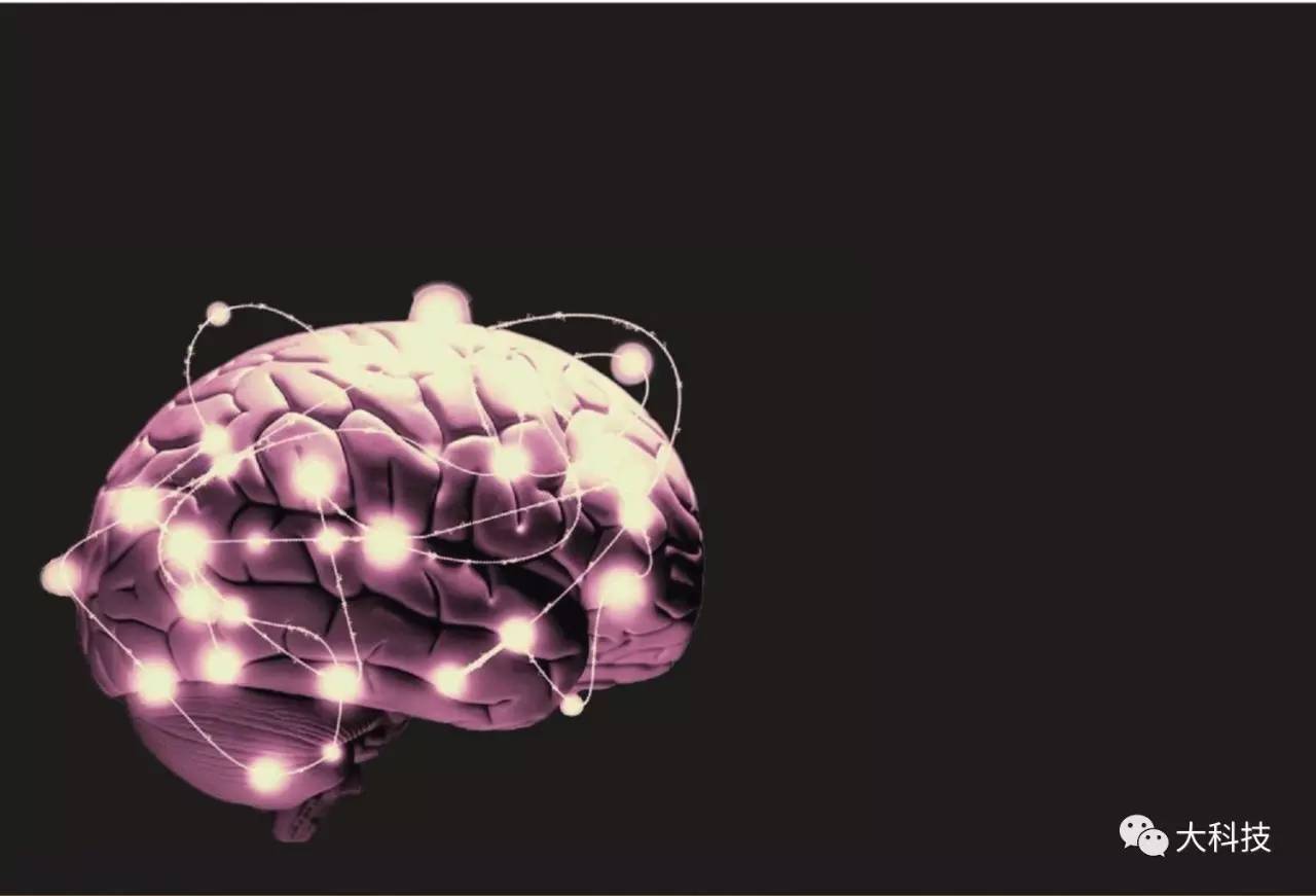 颠覆大脑思维的怪异理论