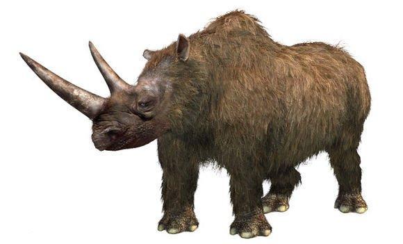 它们生存于更新世,并在冰河时期存活了下来.