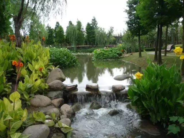 昔日皇家苑囿今天成为咱百姓的南苑槐房钓鱼公园