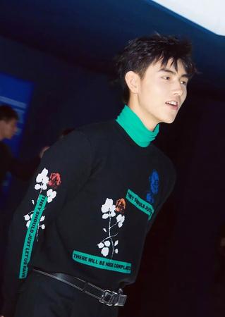 陈红儿子叫陈亦凡吧和王丽坤站一起还真的挺有夫妻相的