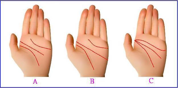 掌纹解读 假断掌 川字掌 爪字掌 人字掌这些掌纹到底好不还