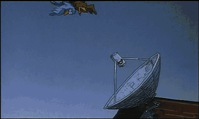 由于"空震"过于刺激,两只掉下来砸到了男主角家的闭路天线,电路一系列