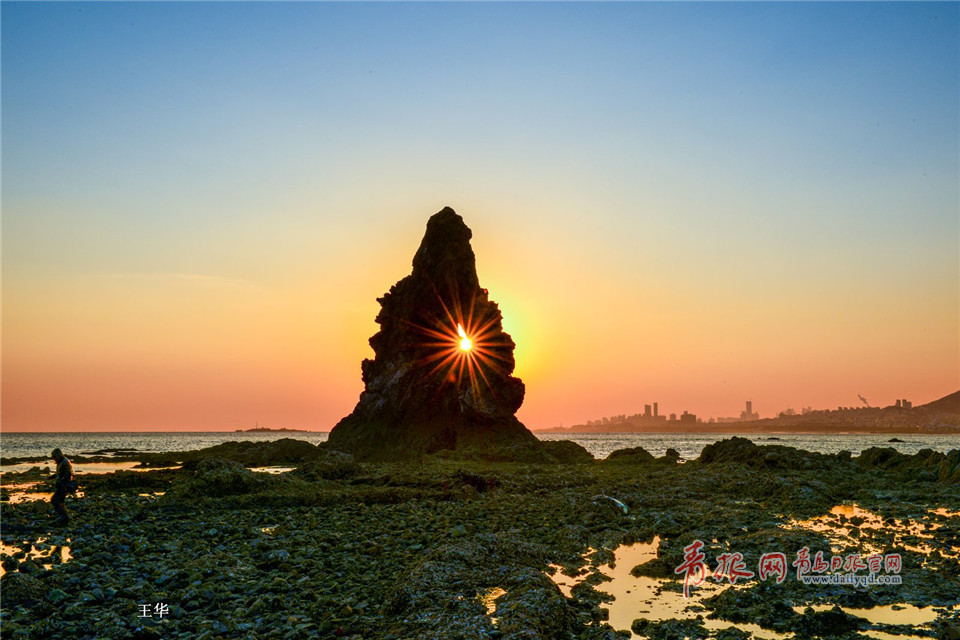 晨迎旭日暮送晚霞 夕阳中的"石老人"美醉了