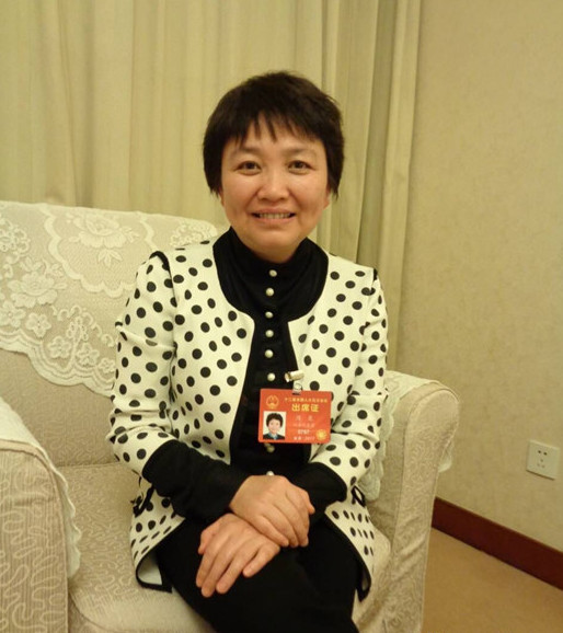 全国人大代表江苏省住建厅厅长周岚补地下设施建设短板让城市更有良心