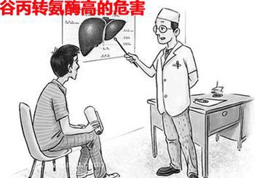 谷草转氨酶增高有什么意义?