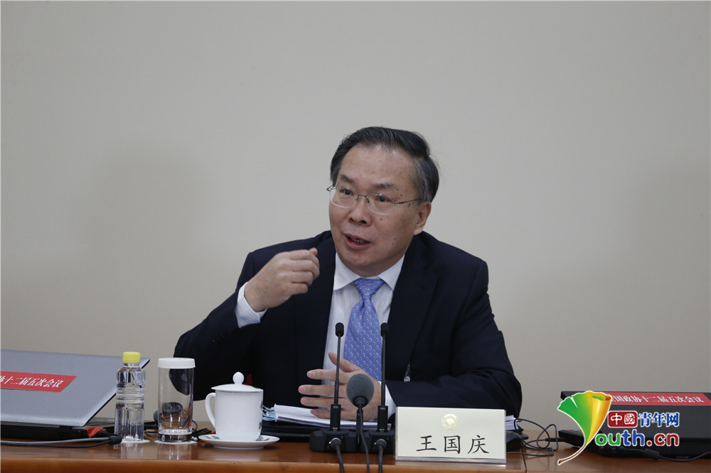 全国政协十二届五次会议举行新闻发布会 王国庆答记者问