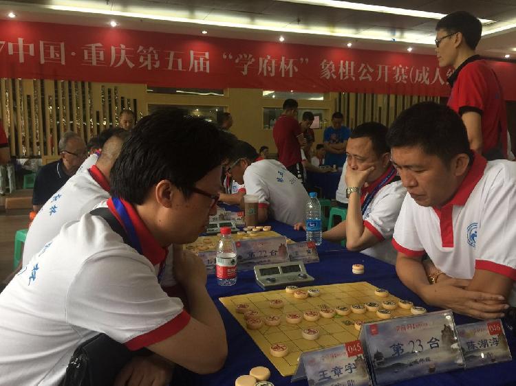 23个省市区的230余名选手参赛,其中成人组180名,大多是全国象棋冠军