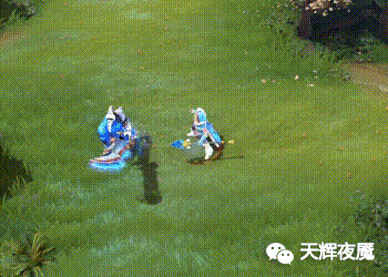 点击放大看动图，不动的看下一条微博