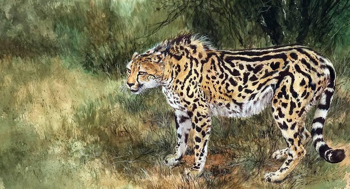 刘冬子他笔下的东方猴子细腻传神狂傲不羁充满情绪