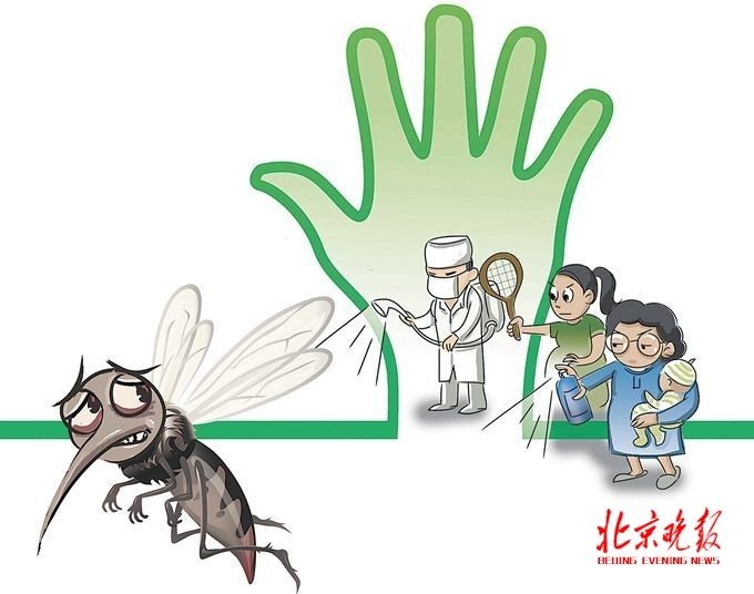 四川泸州蚊子被热死 最高温达41.6℃引起大批量死亡