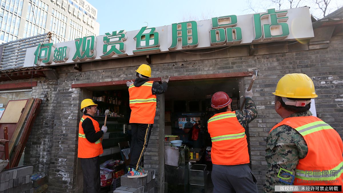 拆拆拆! 北京官园鸟市开始综合整治