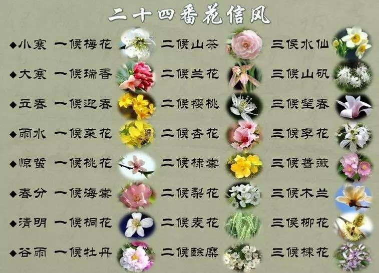 在重庆错过了这些就错过了整个春天