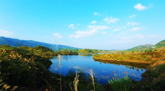 涪陵將增加一個15000畝的溼地公園!預計今年就動工!