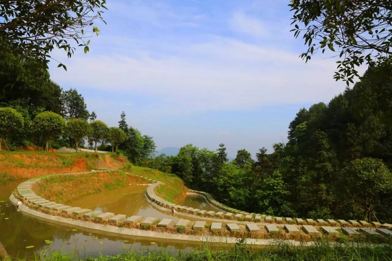 巴南区大来山风景区图片