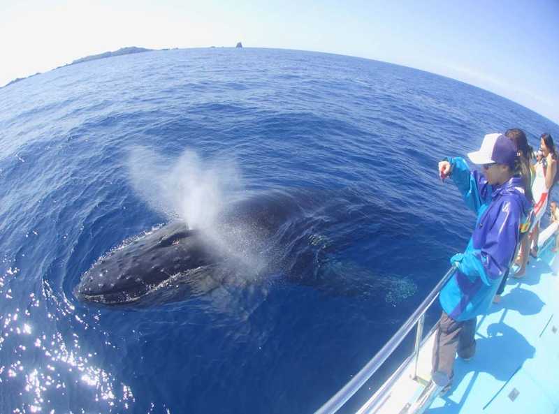 海底假日 日本潜水胜地10选