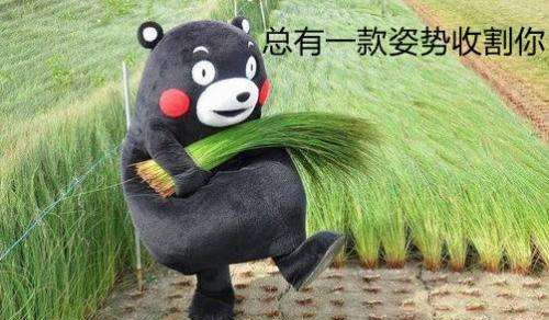 股市绿了又绿如何摆脱韭菜厄运快来看股市高手的成功秘籍