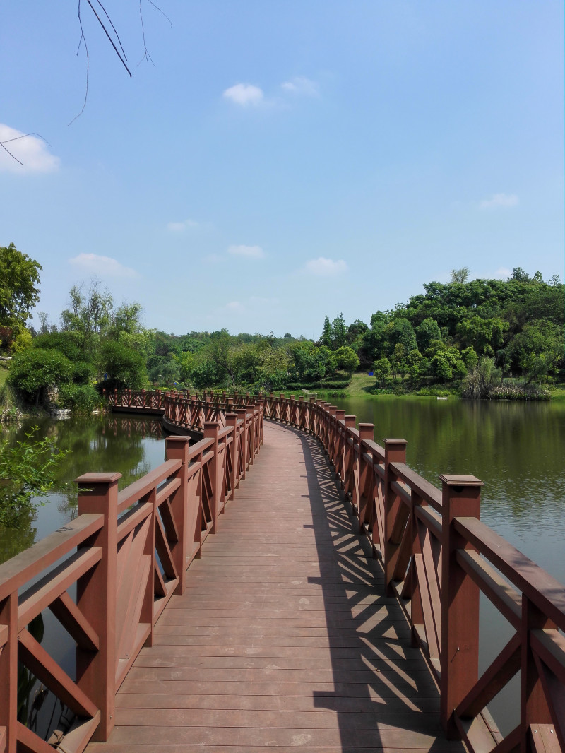 初夏的卧龙湖湿地公园