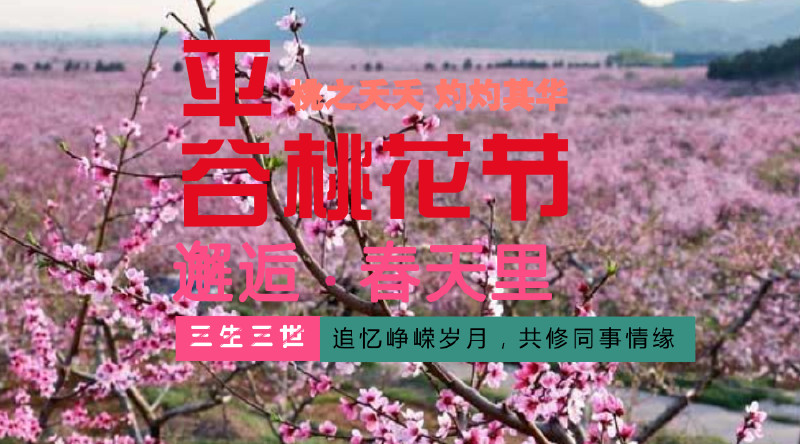 平谷桃花节