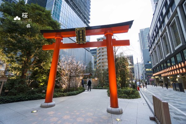 东京樱花攻略用一场粉红色的旅程告别寒冬