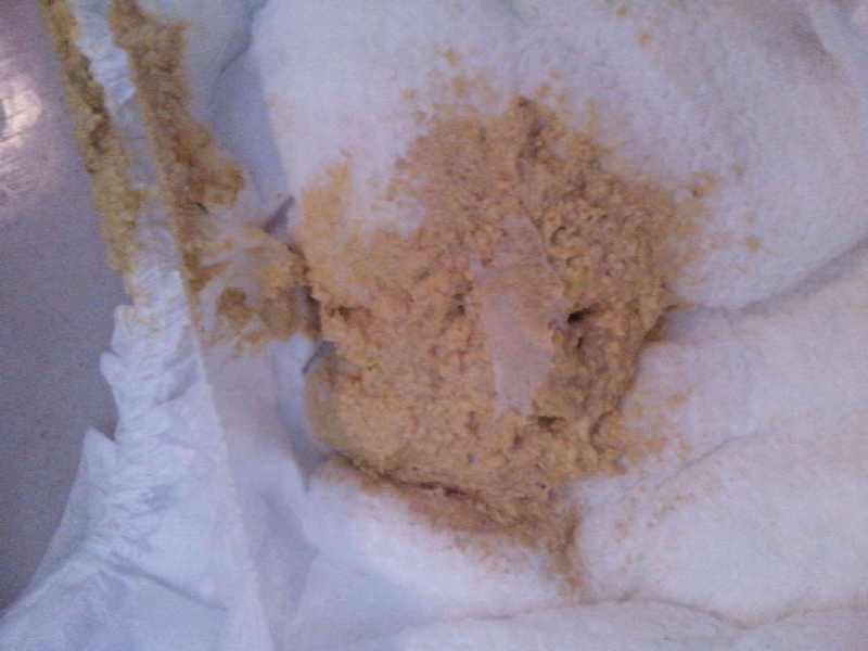 如何通过大便正确判断宝宝健康状态