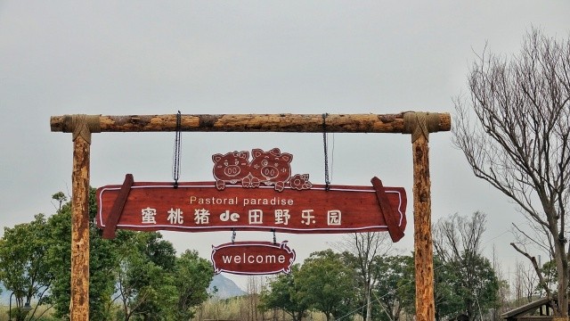 那孩子呢?快来蜜桃猪乐园,与动物们玩耍.