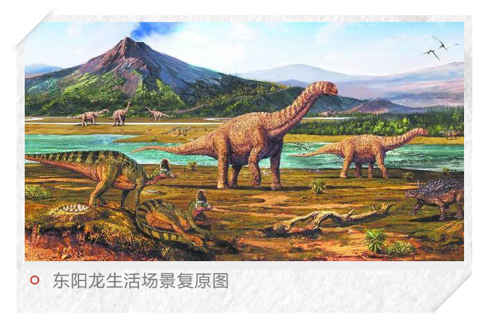 让我们一起去看一条以浙江东阳命名的龙