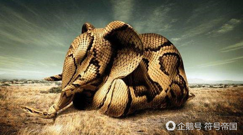 解密山海经—上古妖兽巴蛇:长180米以大象为食,三年才吐骨头