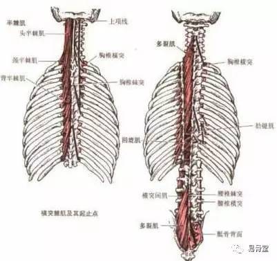 头条文章